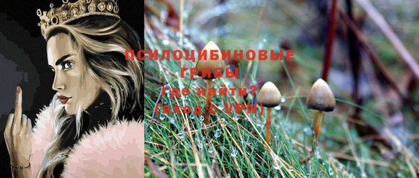 кокс Богданович